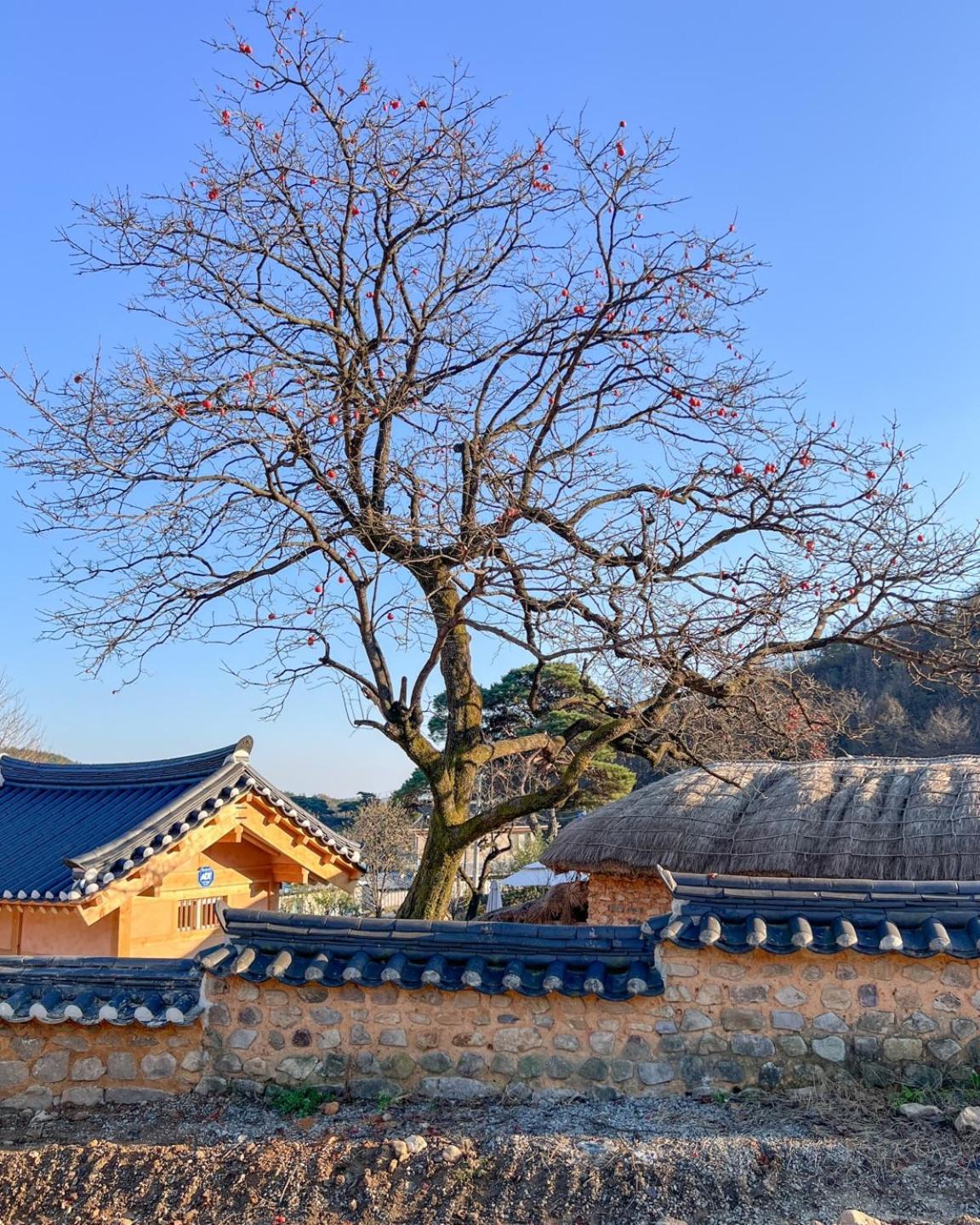 ชูกฮอน เทรดิชั่นนอล เฮาส์ Guest House อันดง ภายนอก รูปภาพ
